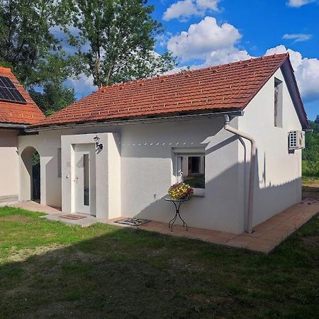 Haus Yuphin Villa Hart bei Graz Kültér fotó